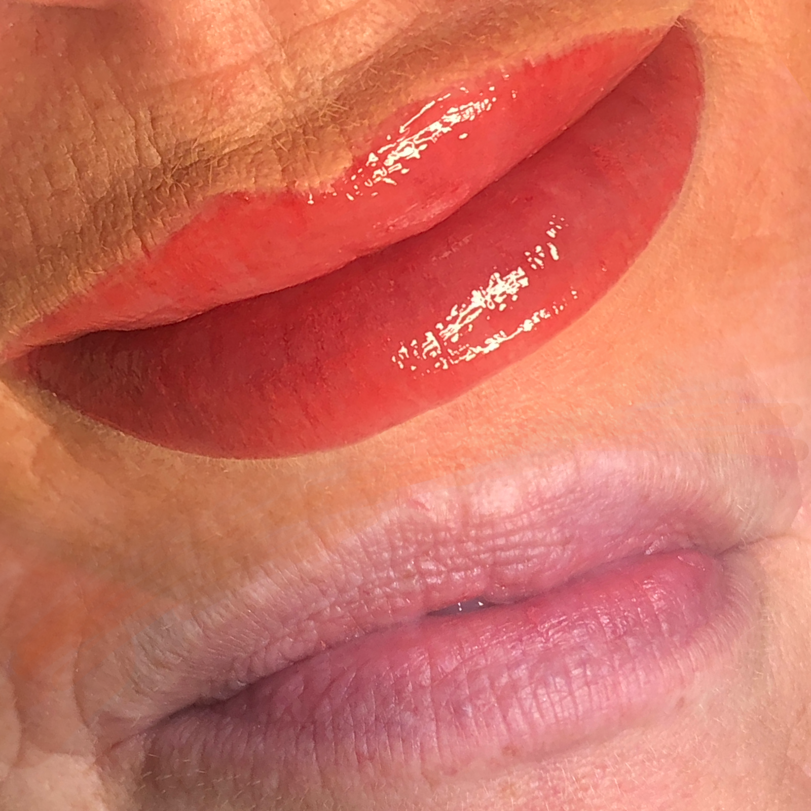 Lip Blush & HD Lips by Lauren